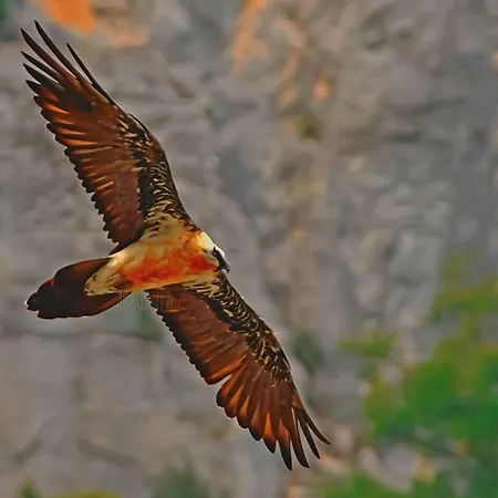 Casa Dueso 公寓 El Pueyo de Araguás