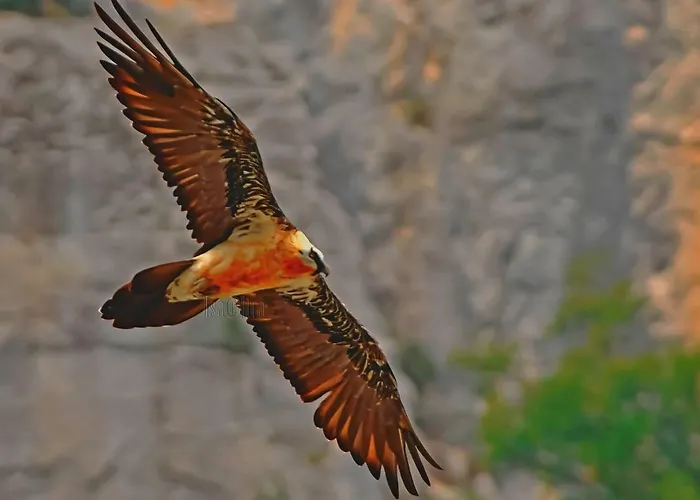 Casa Dueso Apartamento El Pueyo de Araguás